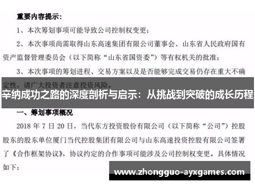 辛纳成功之路的深度剖析与启示：从挑战到突破的成长历程